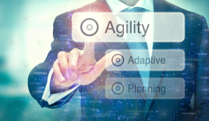 Why Fractional Project Managers Are the Future of Business Agility