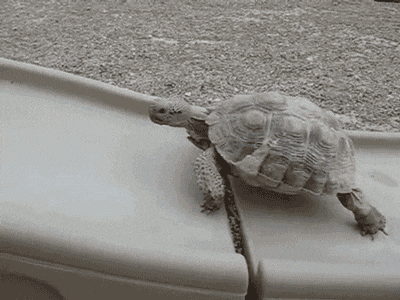 giphy-Sep-15-2025-08-46-07-0950-PM