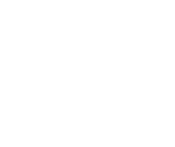 logo-crowsnest